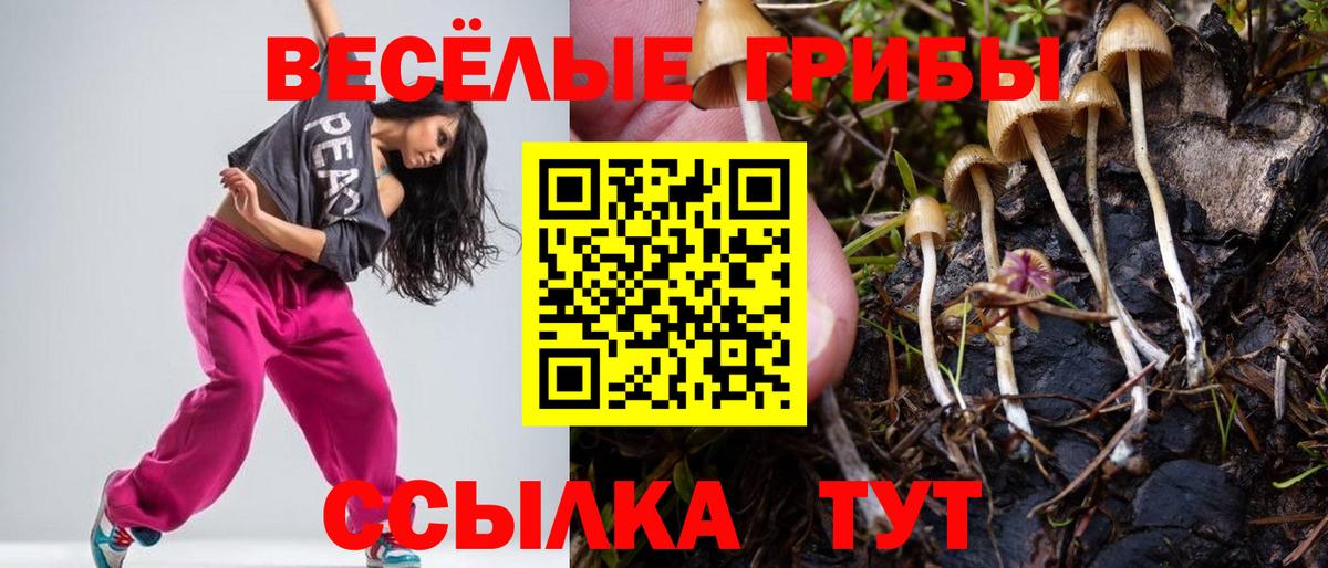 Орёл  Псилоцибиновые грибы MAGIC MUSHROOMS  Вход с VPN 
